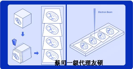 安顺蔡司安顺扫描电镜