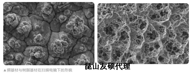 安顺蔡司安顺扫描电镜